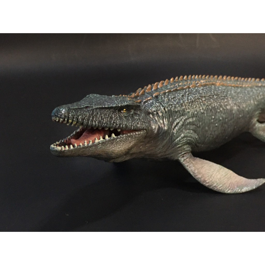 MODEL MOSASAURUS สกุลโมซาซอรัส(ไดโนเสาร์น้ำ)