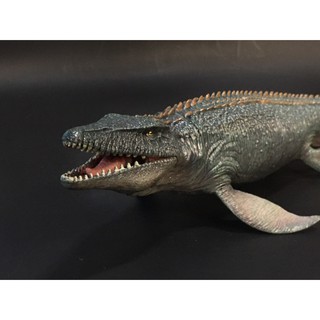 MODEL MOSASAURUS สกุลโมซาซอรัส(ไดโนเสาร์น้ำ)