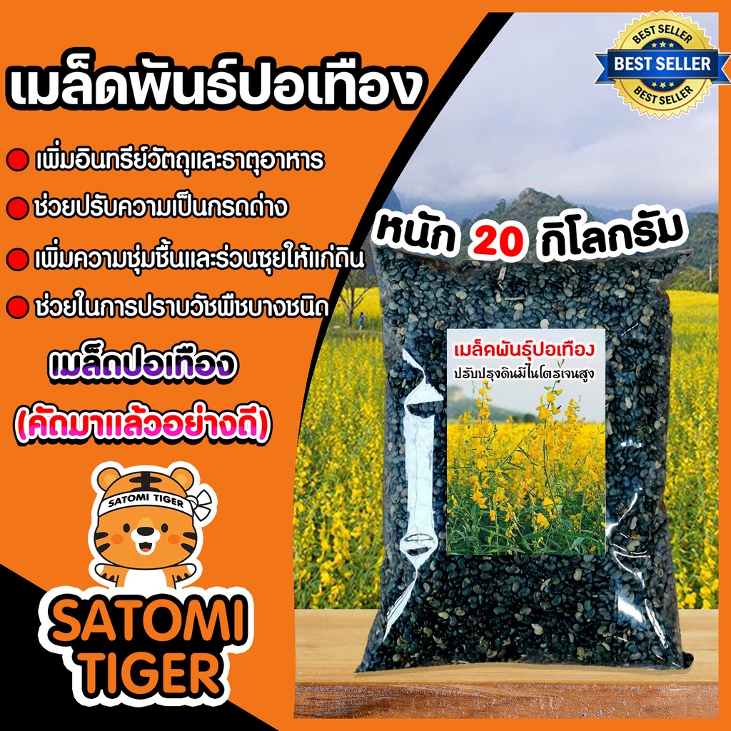 เมล็ดปอเทือง  แพ็คละ 20 กิโลกรัม ปอเทืองดอกเหลือง ต้นปอเทือง ปอเทือง พันธ์ปอเทือง (1 ออดเอร์ ต่อ 1 คำสั่งซื้อ)