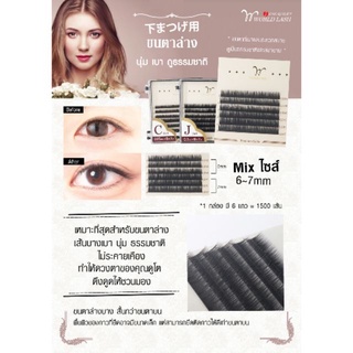 ขนตาล่าง Worl Lash และ Bellash  นำเข้าจากประเทศญี่ปุ่น