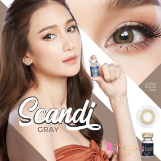 คอนแทคเลนส์ Scandi Gray สแกนดิสีเทา สายตา 50-700
