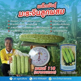 เมล็ดพันธุ์มะระจีนเบลนด์ 118 (ตรางอบทอง) ขนาด 100 กรัม