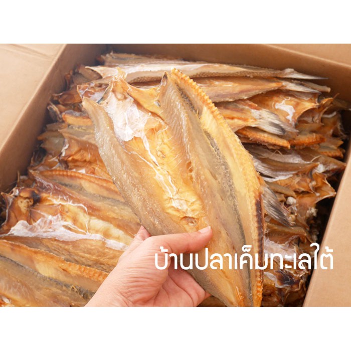 ปลาช่อนทะเล ตัวใหญ่ ใหม่ สะอาด 500กรัม ทำน้ำพริก ย่าง แกง ปลาแห้ง ปลาไล้กอ