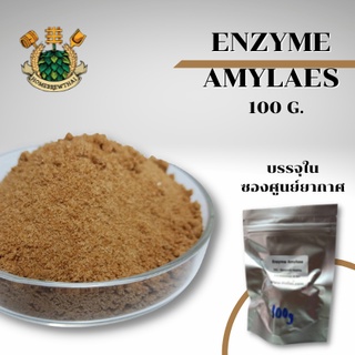 Alpha  Amylase Enzyme  100 กรัม