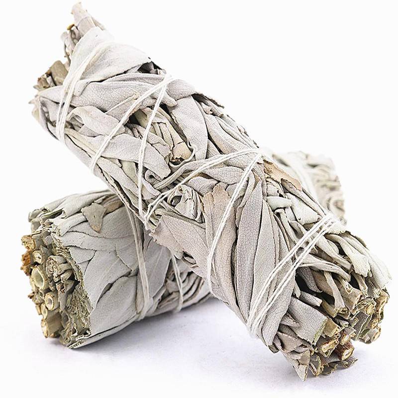 ยาว 10 ซม. สินค้าแห้ง White sage Salvia officinalis purification ยากันยุงตกแต่งบ้าน