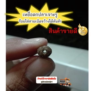 เหยื่อตกปลาเจาะรู สับโดด เม็ดร้อยมาลัย พร้อมใช้ตกได้เลย 55กรัม
