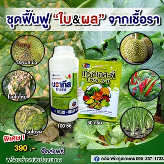 ชุดฟื้นฟูใบ-ผลจากเชื้อรา ป้องกันโรคใบจุด โรคผลเน่า โรคใบไหม้+ใบหนาเขียวเข้ม ธาตุอาหารรวมบำรุงพืช คูลเกษตร