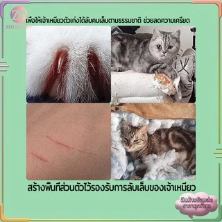 ที่ลับเล็บแมว กล่องลับเล็บแมว ลับเล็บแมว บ้านลับเล็บแมว กระดาษลูกฟูกอย่างดี หนา ไม่ขาดง่าย เปลี่ยนกระดาษลับเล็บได้ มี3สี
