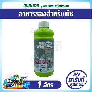 แมมมอท แคลเซียม แม็กนีเซียม  1  ลิตร  (MAMMOTH Calcium Magnesium) ช่วยในการแตกรากใหม่ รากพืชแข็งแรง