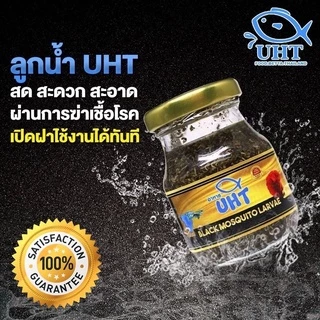 อาหารปลา UHT ไรแดง อาร์ทีเมีย ลูกน้ำ อาหารปลากัด อาหารลูกปลา ปลากัด ปลาแรกเกิด ปลาหางนกยูง ผ่านการฆ่าเชื้อ สะอาด ปลอดภัย