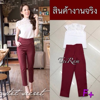 Set basic งานคอเต่า