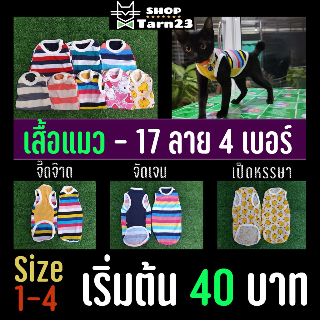 😸ร้านคนไทย เสื้อแมว🐈 เสื้อแมวราคาถูก เริ่มต้น 40 บาท 4 ขนาด 17 ลาย ชุดแมว เสื้อเเมว เสื้อผ้าและอุปกร