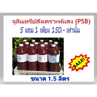 จุลินทรีย์สังเคราะห์แสง 1.5 ลิตร แพ็ค 5 ขวด แถมฟรี 1 ขวด