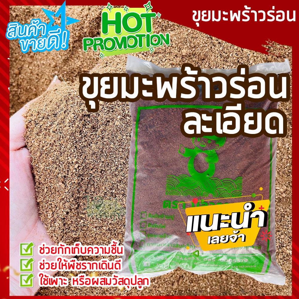 ขุยมะพร้าวร่อนละเอียด 500 กรัม ขุยมะพร้าวร่อน เนื้อละเอียดมาก (ไม่มีใยยาว) ผสมดินปลูกต้นไม้ เพาะกล้า ตอนกิ่ง รากเดินดี