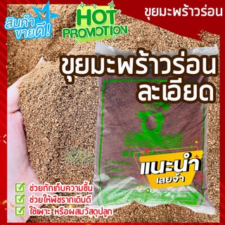 ขุยมะพร้าวร่อนละเอียด 500 กรัม 🥥 ขุยมะพร้าวร่อน เนื้อละเอียดมาก (ไม่มีใยยาว) ผสมดินปลูกต้นไม้ เพาะกล้า ตอนกิ่ง รากเดินดี