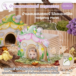 Homey Hamster 🐹☘️ บ้านหลบไม้ บ้านหลบอะคริลิค ขวดน้ำแฮมสเตอร์ 🌷🌼 Hedgehog Planet กรงแฮมสเตอร์ h1 ขนมเลีย millamore รองกรง