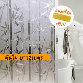 ลายต้นไผ่ ฟิล์มติดกระจกบ้าน  window film ฟิล์มติดกระจกสูญญากาศ