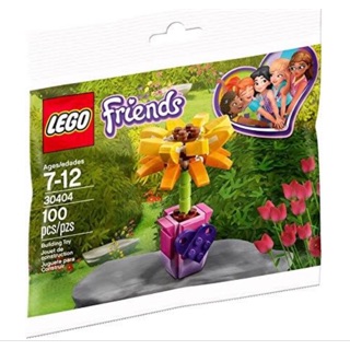 Hobbit99::Lego  30404. Poly bag   ของแท้100%. ของใหม่.