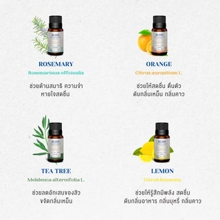 น้ำมันหอมระเหย (essential oil) 10 ml. - 30 ml. ยูคาลิปตัส ลาเวนเดอร์ เปปเปอร์มินต์ น้ำหอมอโรม่า น้ำหอมใส่เครื่องพ่นไอน้ำ