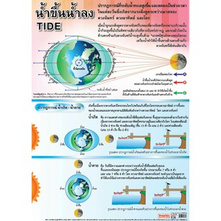 น้ำขึ้น น้ำลงEQ-186 โปสเตอร์กระดาษหุ้มพลาสติก