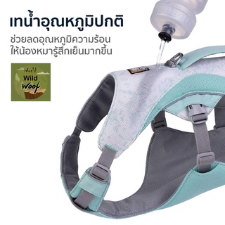 Ruffwear สายรัดอกสุนัข คลายร้อน รุ่น Swamp Cooler Harness