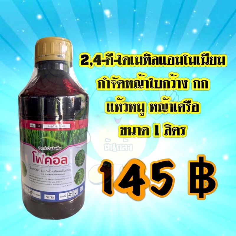 2,4-D หมาน้ำ โฟคอล สารกำจัดพืชใบกว้าง เช่น ผักปอดนา เทียนนาและกก แห้วหมูผักเบี้ยหิน ผักบุ้ง วัชพืชชน
