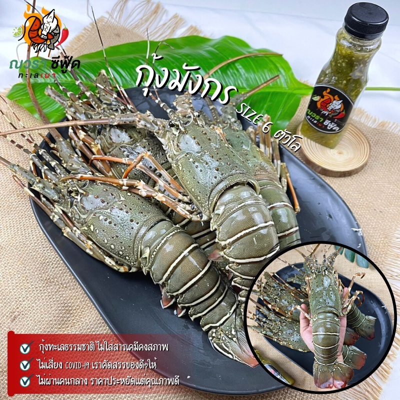 กุ้งมังกรฟรีซสด 1 ตัว (1ตัวประมาณ5-8ขีด) โปรโมชั่นโลละ 1,090 บาท By ณวรา ซีฟู้ด