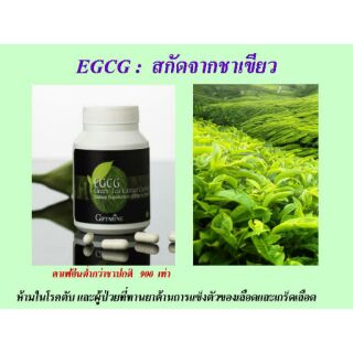 Giffarine EGCG กิฟฟารีน