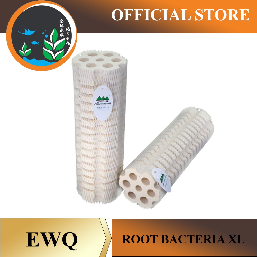 Mountain Tree Lotus Root Spiral Bacteria House Gen 3 (XL)