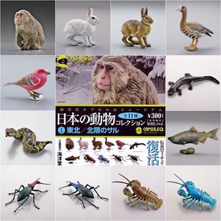 (มีของพร้อมส่ง) Gashapon กาชาปองสัตว์ญี่ปุ่น Animals Of Japan Vol.01 Capsule Q Museum Kaiyodo โมเดลสัตว์