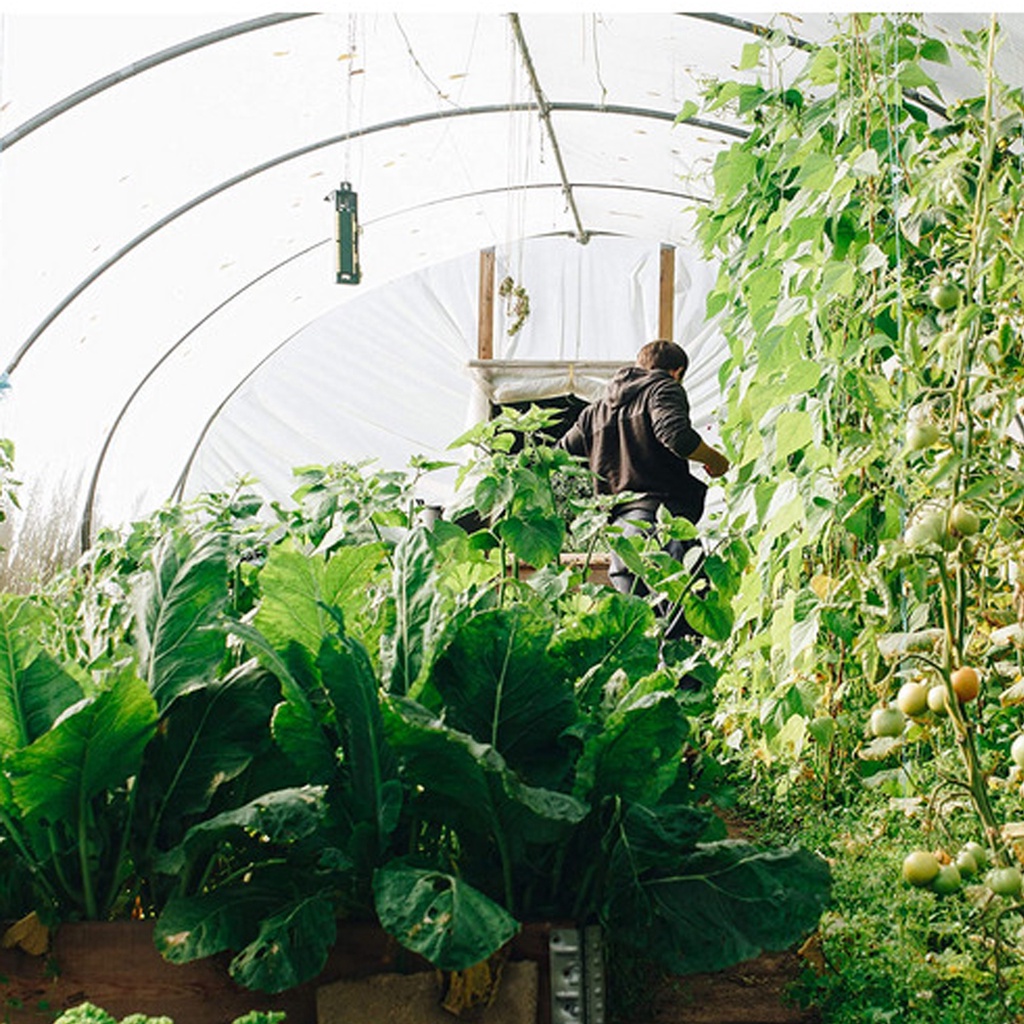 พลาสติกใสคลุมโรงเรือน เลือก 4x3 / 4x5 / 4x10 เมตร พลาสติกคลุมโรงเรือน พลาสติกโรงเรือน พลาสติกใส ทนแดดทนฝน ไม่รั่วซึม - รูปที่ 5