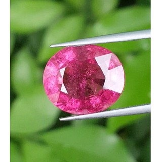 รูเบลไลต์ ทัวร์มารีน (Rubellite Tourmaline碧玺) 8.47 กะรัต (Cts.克拉)