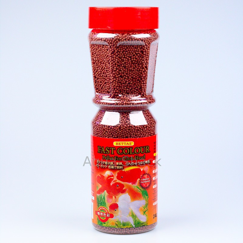 Makan Ikan Emas Kepala Benjul - BETTAS Fast Colour 240gram - Floating - อาหารปลาทองตู้ปลา