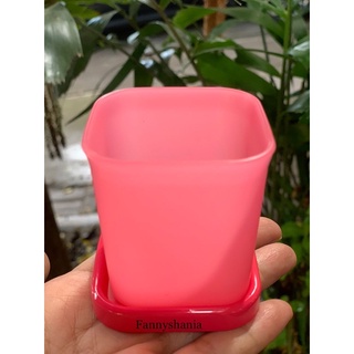 Tupperware แก้วทัปเปอร์แวร์น่ารัก ขนาดเล็ก ของแท้ 80 มล. ของขวัญวันเกิด