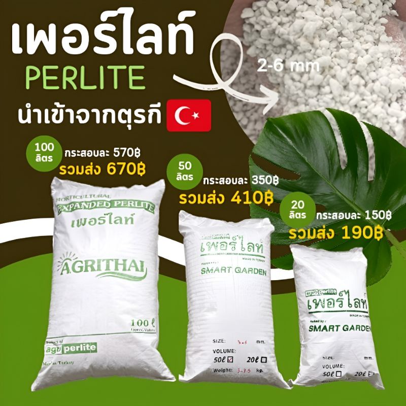 ✅ส่งฟรี [ใช้โค้ดส่งฟรี Xtra 49.- ได้เท่านั้น]🌱 เพอร์ไลท์ PERLITE เม็ดใหญ่ / เม็ดเล็ก 20 / 50 / 100 ล