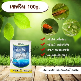 เซฟวิน 100g. คาร์บาริล สารกำจัดแมลง เพลี้ยไฟ เพลี้ยอ่อน เพลี้ยแป้ง เต่าแตง หนอนเจาะ มด ปลวก ด้วง หมัด allaboutplants