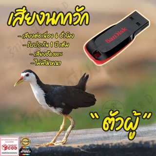 เสียงต่อ นกกวัก ตัวผู้ ยาว6ชั่วโมง ไม่มีโฆษณา แฟลชไดร์ฟ(Flash Drive) มีเก็บเงินปลายทาง