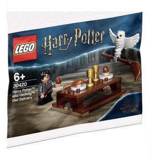 LEGO Harry Potter 30420 Harry Potter and Hedwig: Owl Delivery