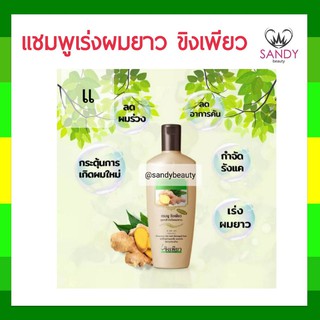 ขายดี! แชมพูเร่งผมยาว KEING PURE ขิงเพียว 300ml. สูตรเร่งผมยาว ช่วยให้เส้นผมมีน้ำหนัก ผมนุ่มสลวย