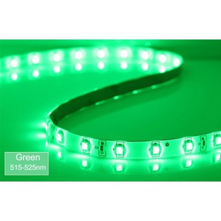 ไฟ LED แบบเส้น SMD ดวงเล็ก 60 ดวง/เมตร ยาว 5 เมตร (สีเขียว)