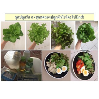 ชุดเริ่มต้นปลูกผักไฮโดรโปนิกส์ (ชุดรัก๙)