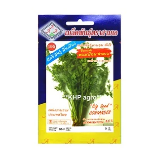 เมล็ดพันธุ์ ผักชี / หอมป้อม เจียไต๋ ศรแดง สิงโต (ซอง) เมล็ดพันธุ์ใหม่ คุณภาพดี การันตีความงอก