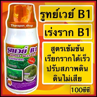 น้ำยาเร่งรากB1 ยาแช่กิ่งตอน เร่งรากB1 ยี่ห้อรูทเวย์ #ราคาส่ง#