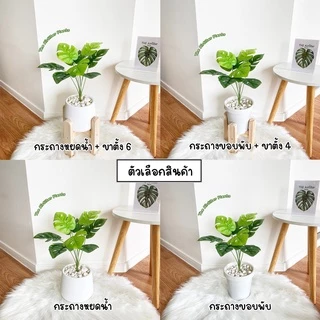 ต้นไม้ปลอม ต้นไม้มงคล 6 ชนิด ตั้งโต๊ะ ตั้งหน้าทีวี พร้อมกระถางและหินสีขาว (สูง40ซม.)🍀