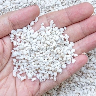 เพอร์ไลท์ (Perlite) เต็มเม็ด ฝุ่นน้อย (1ลิตร, 3ลิตร) วัสดุปลูกนำเข้าแบ่งบรรจุ