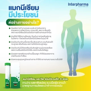 Magnesium Plus B Complex แมกนีเซียม เสริมสร้างกระดูกและฟัน เสริมระบบประสาทและกล้ามเนื้อโดย Interpharma