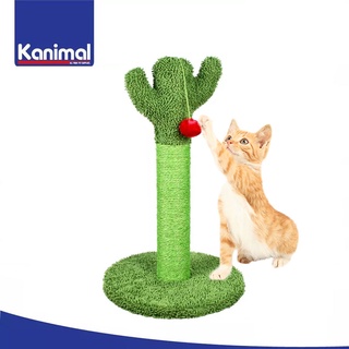 ของเล่นแมว ต้นกระบองเพชร พร้อมลูกบอล Kanimal Cactus Tree มีเสาลับเล็บแมว ขนาด 40x40x65 cm. Cat Toy Puppies