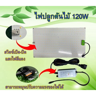 ไฟปลูกต้นไม้ 85W 120W สามารถปรับระดับแสงสว่างได้