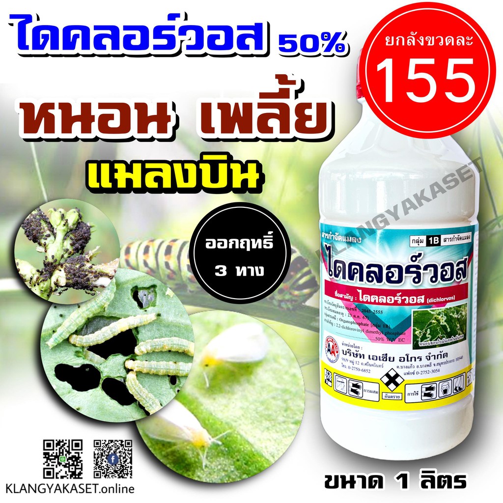My Image 32