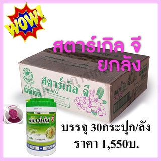 สตาเกิล จี 250g. ***ยกลัง 30 กระปุก***